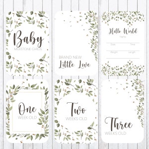 Cartões Baby Milestone, cartões 4x6, vegetação, folhas, download instantâneo