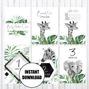 Cartes Baby Milestone, Cartes 4x6, Greenery Jungle, Zèbre, Girafe, Éléphant, Cartes Photo Prop, INSTANT DOWNLOAD