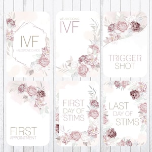 Cartes d'étape de fertilité FIV, 4 x 6 cartes, rose pastel, TÉLÉCHARGEMENT IMMÉDIAT, imprimez le vôtre