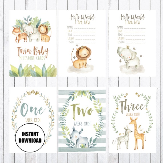 Twin Baby Milestone Cards 4x6 Cards 