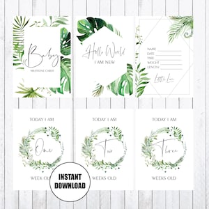 Cartões Baby Milestone, cartões 4x6, vegetação, folhas, download instantâneo