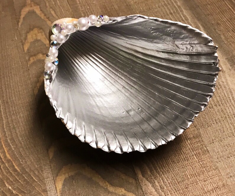 Real Sea Shell Jewelry Holder / Trinket Tray Etsy