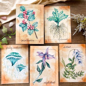 Fantasy Botanical Art Print | Video Game Inspired Alchemy Herbs | Cottagecore Wall Decor