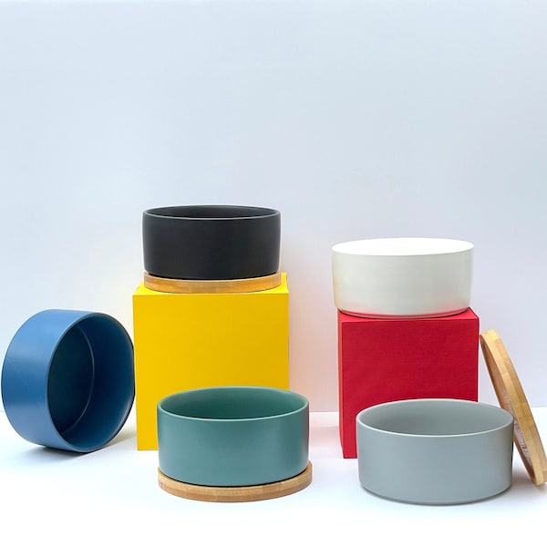 Minimalist Modern Pet Bowl with Bamboo Coaster (Custom Made)