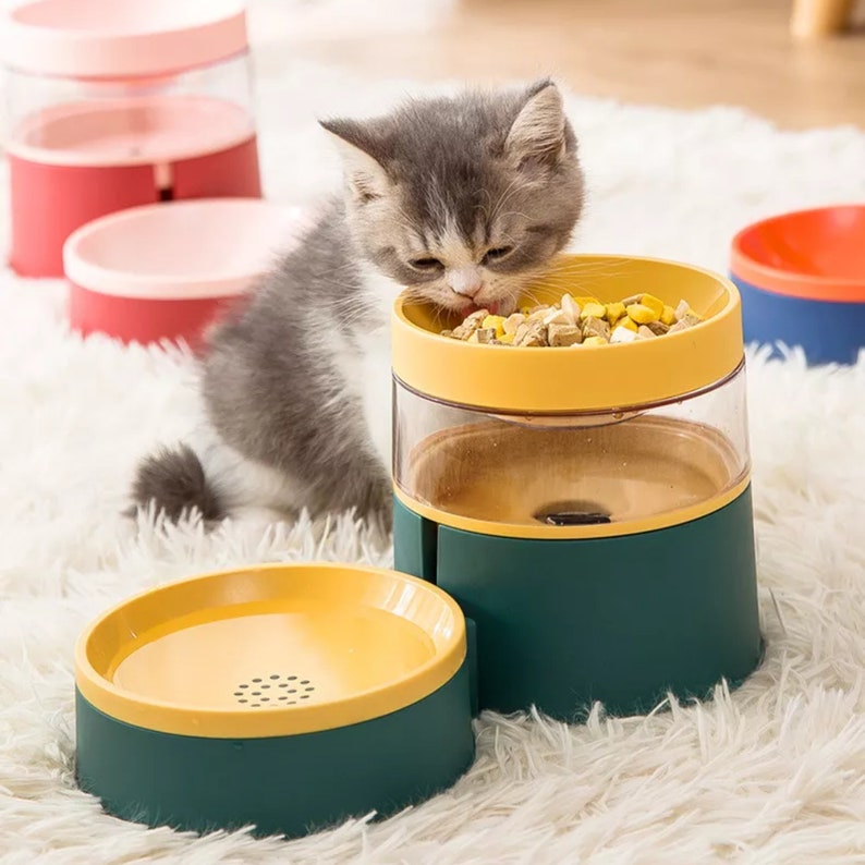 Minimalist Modern Pet Feeding and Drinking Bowl Combo image 2