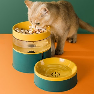 Minimalist Modern Pet Feeding and Drinking Bowl Combo image 4