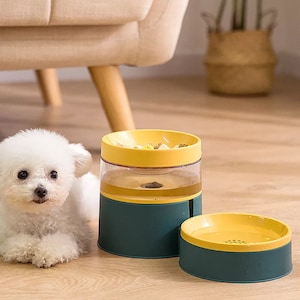 Minimalist Modern Pet Feeding and Drinking Bowl Combo image 3