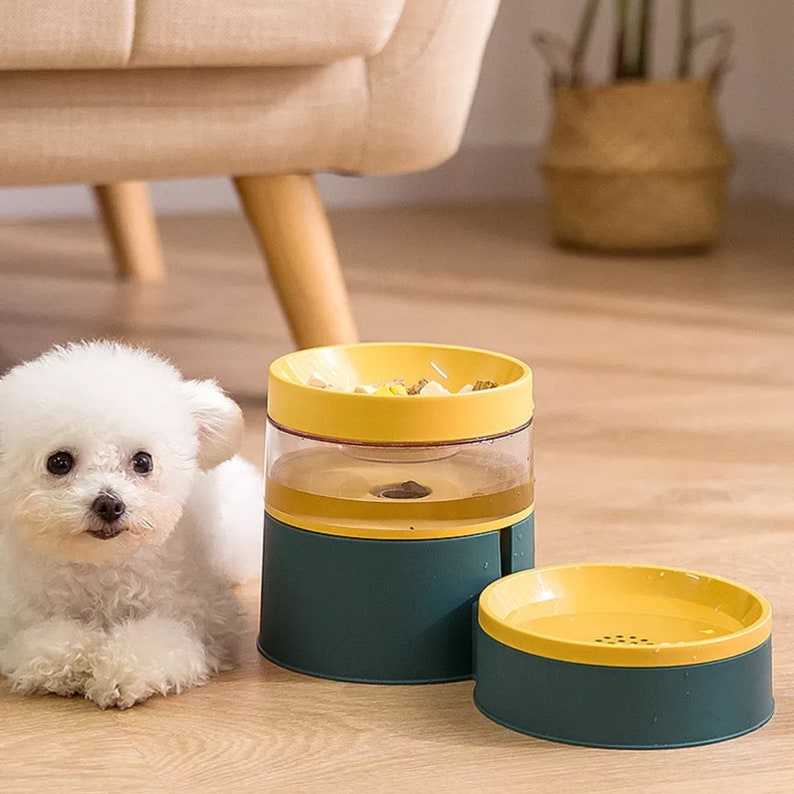 Minimalist Modern Pet Feeding and Drinking Bowl Combo image 3