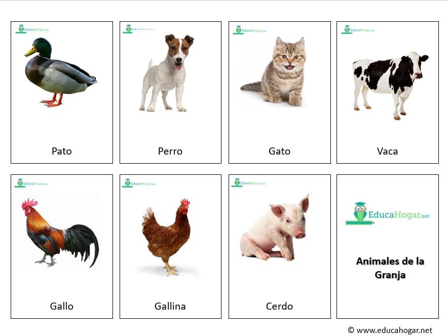 Animales de la granja Tarjetas Montessori en Español Etsy México
