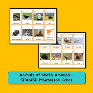 Animals of North America - 15 "SPANISH" Montessori Cards