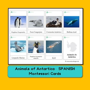 Animals of Antartica