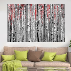 Home Decor Birch Forest - esp bomen grote muurkunst - meerdere maten ingelijste prints op canvas - Colorado natuurkunstwerk - landschapsfoto