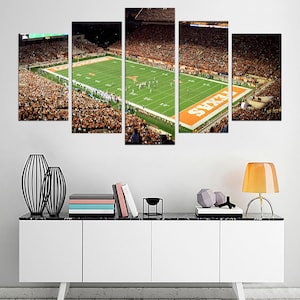 Darrell K Royal-Texas Memorial stadium at night, large canvas print, American wall art decor, Longhorns College