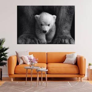 May include: Black and white photograph of a polar bear cub nestled between the paws of its parent. The cub, with its fluffy white fur, gazes directly at the viewer. The image is a close-up, emphasizing the textures of the fur and paws.