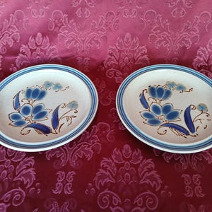 K&ouml;nnte beinhalten: Zwei Keramikplatten mit floralem Design. Die Platten haben eine cremefarbene Basis mit blau-braunen Blumenmustern. Ein blauer Streifen umrandet den Rand jeder Platte. Die Platten haben einen Durchmesser von etwa 20 cm.