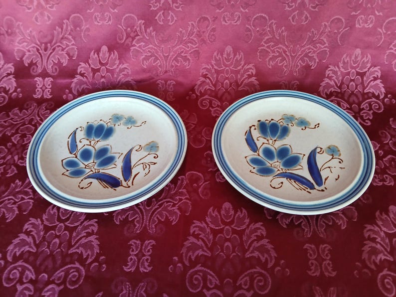 K&ouml;nnte beinhalten: Zwei Keramikplatten mit floralem Design. Die Platten haben eine cremefarbene Basis mit blau-braunen Blumenmustern. Ein blauer Streifen umrandet den Rand jeder Platte. Die Platten haben einen Durchmesser von etwa 20 cm.