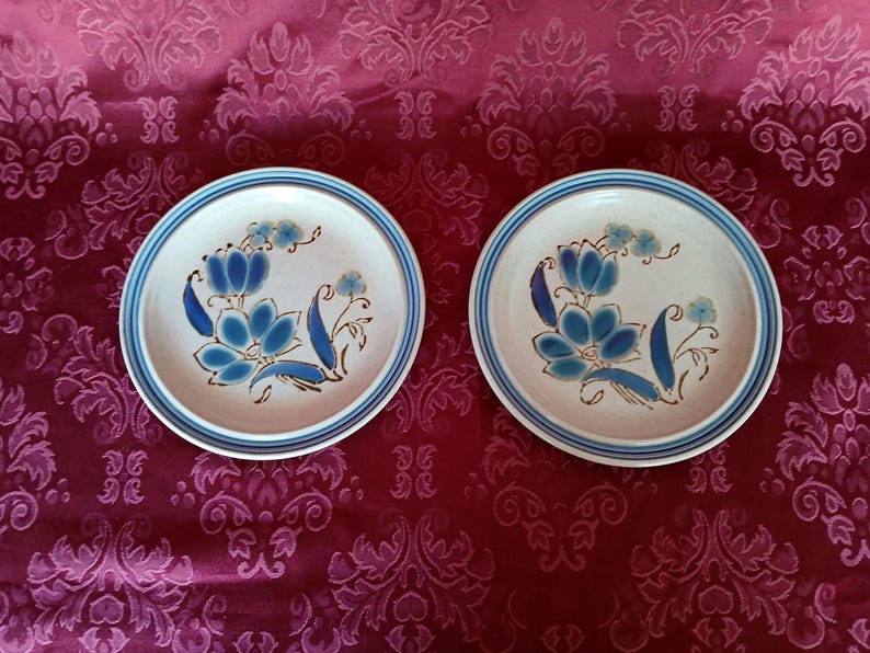 Puede incluir: Dos platos de cer&aacute;mica a juego con base color crema y dise&ntilde;o floral azul. Cada plato tiene un borde azul y una ilustraci&oacute;n central de flores y hojas azules. Los platos est&aacute;n sobre un fondo rojo estampado.