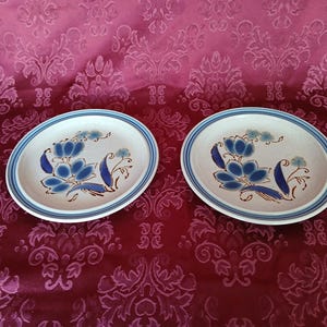 Puede incluir: Dos platos de cer&aacute;mica con un dise&ntilde;o floral. Cada plato presenta una base blanca con un patr&oacute;n floral azul y marr&oacute;n y un borde azul. Los platos son de forma ovalada y descansan sobre una superficie roja estampada.