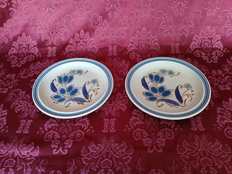 Puede incluir: Dos platos de cer&aacute;mica con un dise&ntilde;o floral. Cada plato presenta una base blanca con un patr&oacute;n floral azul y marr&oacute;n y un borde azul. Los platos son de forma ovalada y descansan sobre una superficie roja estampada.