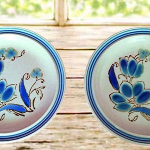 Puede incluir: Dos platos de cer&aacute;mica con base blanca y dise&ntilde;os florales azules. Cada plato tiene un borde azul y un motivo floral central en tonos azules y marrones. Los platos se exhiben sobre una superficie de madera.