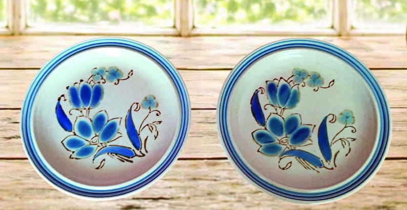 Puede incluir: Dos platos de cer&aacute;mica con base blanca y dise&ntilde;os florales azules. Cada plato tiene un borde azul y un motivo floral central en tonos azules y marrones. Los platos se exhiben sobre una superficie de madera.