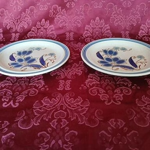 Puede incluir: Dos platos ovalados de cer&aacute;mica con base blanca y dise&ntilde;o floral azul. Cada plato tiene un borde azul y un patr&oacute;n floral en tonos azules y marrones. Los platos se exhiben sobre una superficie roja estampada.