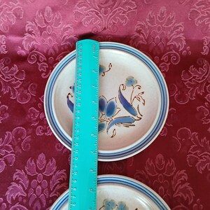 Puede incluir: Dos platos de cer&aacute;mica con un dise&ntilde;o floral. Los platos son de color beige con detalles en azul y blanco. Una regla turquesa se coloca verticalmente sobre los platos. Los platos est&aacute;n sobre una superficie burdeos estampada.