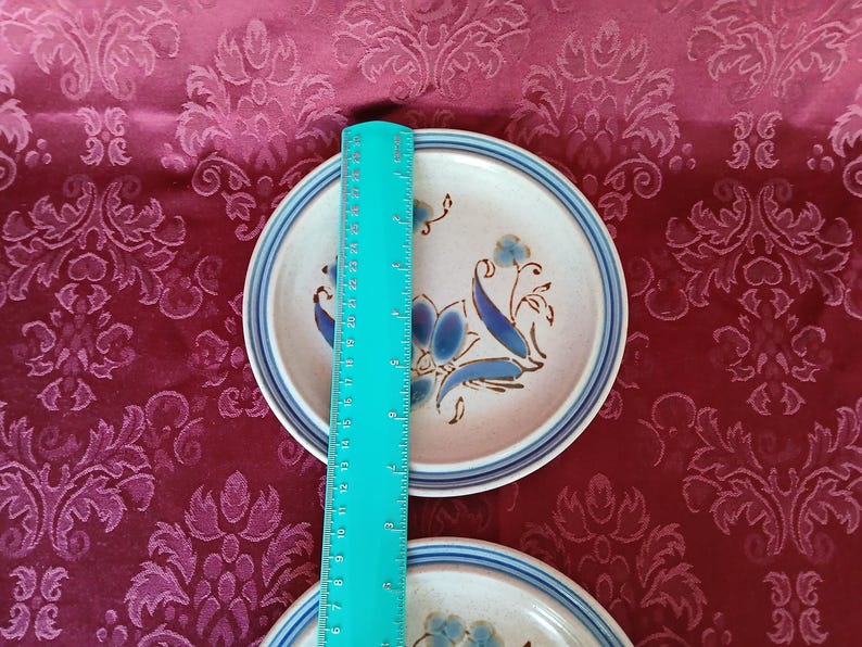 Puede incluir: Dos platos de cer&aacute;mica con un dise&ntilde;o floral. Los platos son de color beige con detalles en azul y blanco. Una regla turquesa se coloca verticalmente sobre los platos. Los platos est&aacute;n sobre una superficie burdeos estampada.