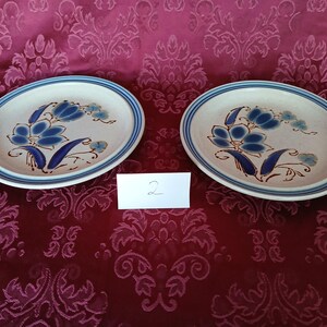 K&ouml;nnte beinhalten: Zwei Keramikteller mit floralem Design. Die Teller haben eine cremefarbene Basis mit einem blau-braunen Blumenmuster. Ein blauer Streifen umrandet den Rand jedes Tellers. Die Teller befinden sich auf einer bordeauxroten, gemusterten Oberfl&auml;che.