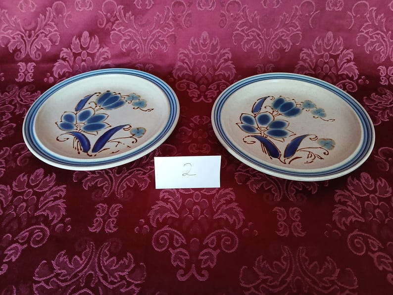 K&ouml;nnte beinhalten: Zwei Keramikteller mit floralem Design. Die Teller haben eine cremefarbene Basis mit einem blau-braunen Blumenmuster. Ein blauer Streifen umrandet den Rand jedes Tellers. Die Teller befinden sich auf einer bordeauxroten, gemusterten Oberfl&auml;che.