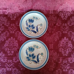 K&ouml;nnte beinhalten: Zwei Keramikplatten mit beigem Hintergrund und blauem Blumendesign. Jede Platte hat einen blauen Rand und ein blaues und braunes Blumenmuster in der Mitte. Die Teller befinden sich auf einem gemusterten roten Hintergrund.