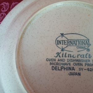 K&ouml;nnte beinhalten: Nahaufnahme eines beigefarbenen Tellers mit gesprenkeltem Muster. Der Teller hat einen breiten Rand und der Text "INTERNATIONAL CHINA Kilncraft OVEN AND DISHWASHER SAFE MICROWAVE OVEN PROOF DELPHINA SY-6209 JAPAN" ist aufgedruckt.