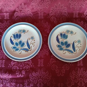 Puede incluir: Dos platos de cer&aacute;mica con base color crema y dise&ntilde;o floral azul. Cada plato tiene un borde azul y un patr&oacute;n floral en tonos azules y marrones. Los platos est&aacute;n sobre un fondo rojo estampado.
