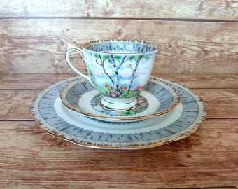 Royal Albert Silver Birch China: Teacup, Saucer & Salad Plate, Cottagecore Decor Kitchen, Modern Cottage, Country Cottage Décor