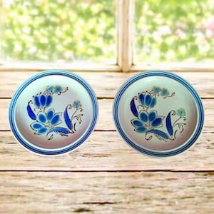 K&ouml;nnte beinhalten: Zwei passende Keramikplatten mit blauem Blumendesign. Jede Platte hat eine wei&szlig;e Mitte mit blauen Blumen und Bl&auml;ttern, umrahmt von einem blauen Rand. Die Teller stehen auf einer Holzoberfl&auml;che, mit einem Fenster im Hintergrund.