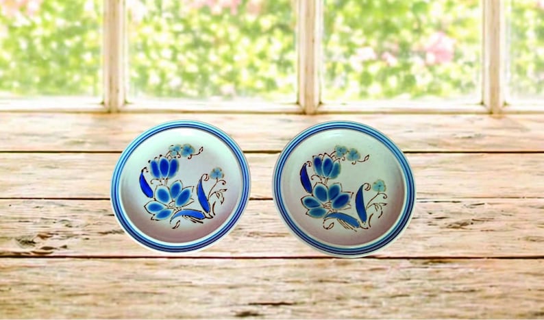 Puede incluir: Dos platos redondos de cer&aacute;mica con centro blanco y dise&ntilde;o floral azul. Los platos tienen un borde azul y est&aacute;n sobre una superficie de madera. El dise&ntilde;o floral presenta flores y hojas azules.