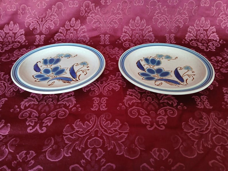 Puede incluir: Dos platos ovalados de cer&aacute;mica. Cada plato presenta una base blanca con un dise&ntilde;o floral azul y un borde azul y blanco. El dise&ntilde;o floral incluye flores azules y tallos marrones. Los platos est&aacute;n sobre un fondo rojo estampado. Cada plato mide unos 25 cm.