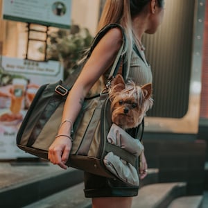 PU Leather Luxury Bag Carrier for Small Dogs - Dog Cart Junction