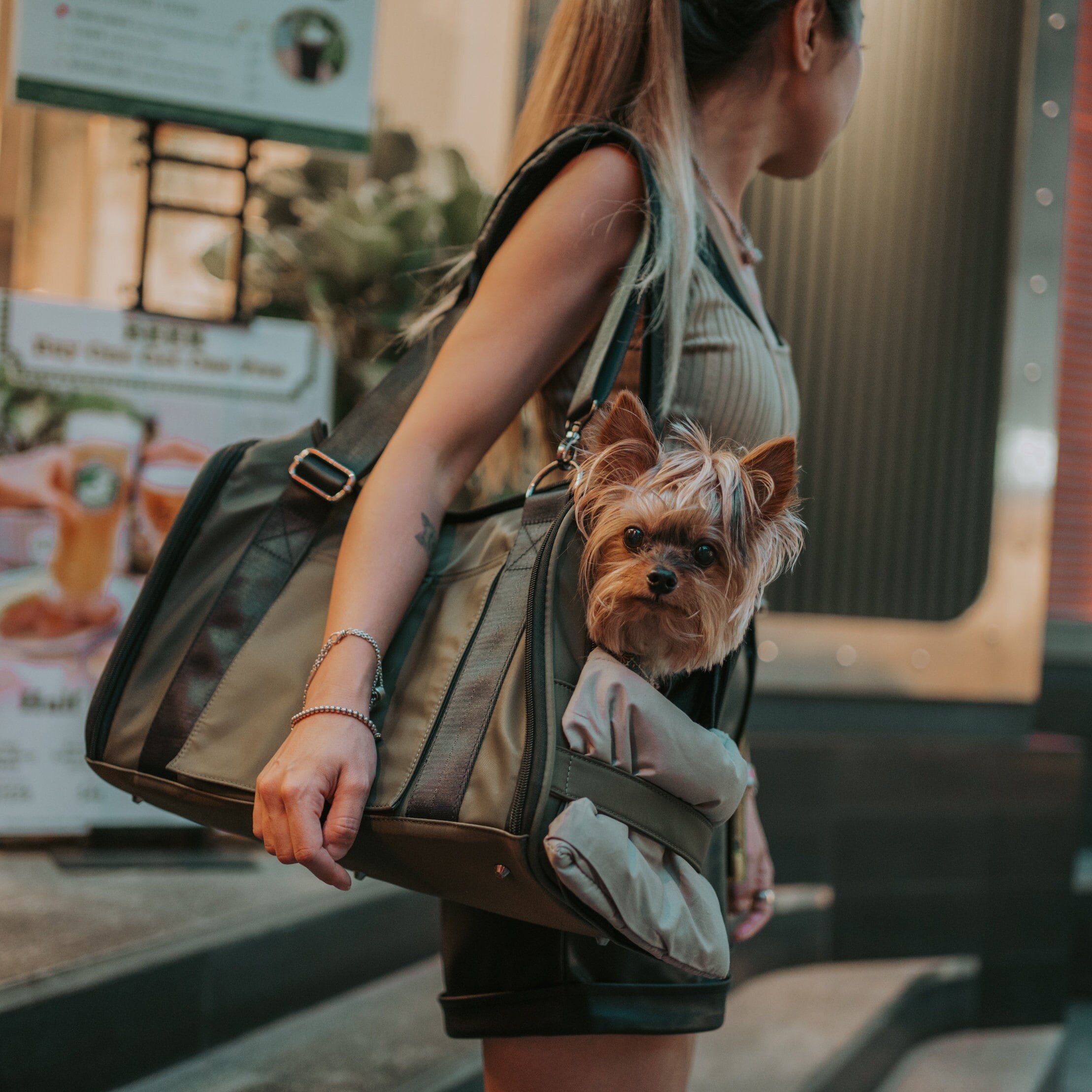 Black Eco Leather Designer Dog Carrier Black and Pink Small 