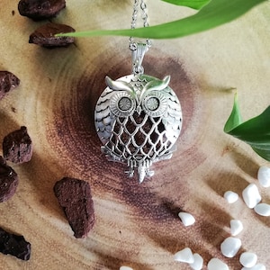 以下が含まれることがあります： 精巧なディテールが施されたシルバーのフクロウペンダントネックレス。 フクロウのペンダントは茶色の中央部を持ち、繊細なシルバーチェーンから吊り下げられています。 ネックレスは、装飾的な要素のある木製の表面に表示されています。