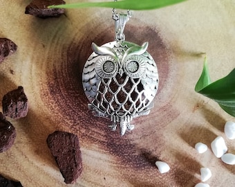 Owl Essential Oil Diffuser Aromatherapy Necklace Stainless Steel Locket & 10 x Colour Pads Gift Set Girls Women Jewellery Birthday Christmas