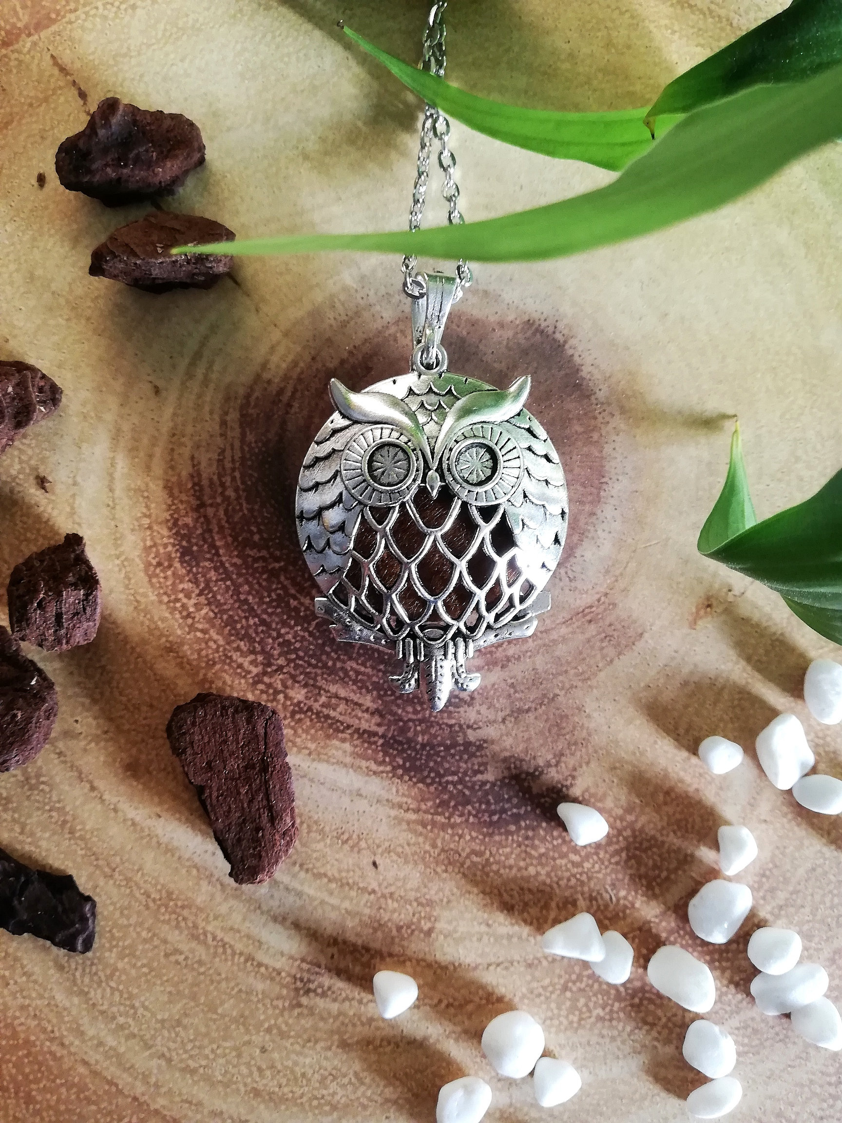 Owl Essential Oil Diffuser Aromatherapy Necklace Stainless Steel Locket 10 X Colour Pads Gift Set Girls Women Jewellery Birthday Christmas Etsy