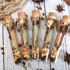 Caixa de presente de tubo de ensaio com especiarias para vinho quente de inverno - Tubo de amostra - Kit de presente de especiarias para vinho quente - Festa - Lembrancinhas de casamento de inverno - Especiarias para vinho quente