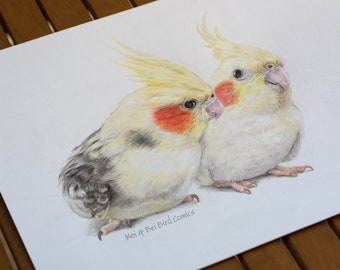 Detailed Portrait Custom Drawing of YOUR BIRDS - 2-4 birds