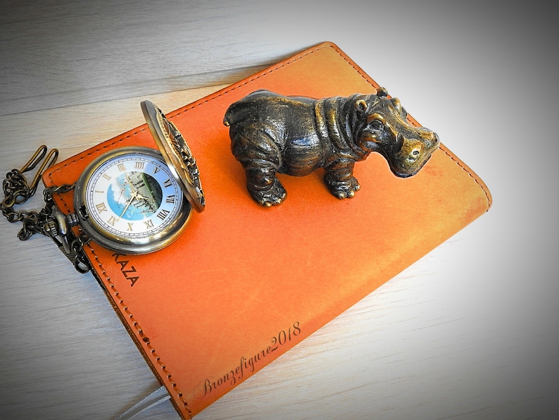 Bronze Figurine Hippo