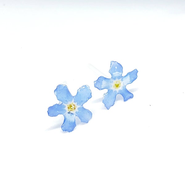 Flower Earrings / Forget-Me-Not Earrings / Forget-Me-Not Studs Earrings / Resin Jewellery / Enchanted Garden / 815amUK