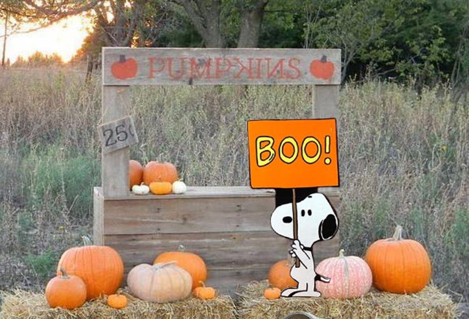 Snoopy Halloween yard art/Peanuts yard art/ Peanuts yard Etsy