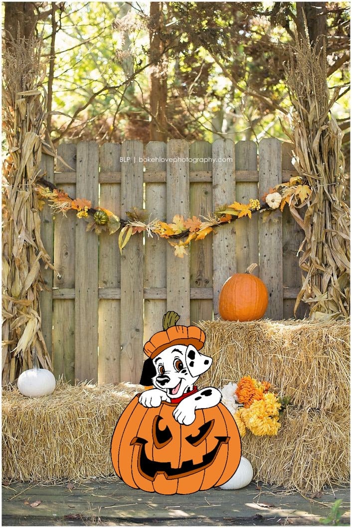 Hand Painted Disney 101 Dalmatians Puppy In A Pumpkin Etsy hand-painted-disney-101-dalmatians-puppy-in-a-pumpkin-etsy