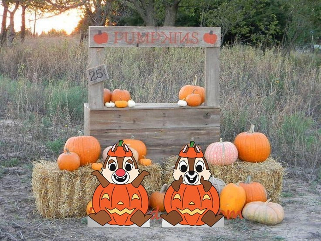 hand-painted-disney-chip-and-dale-pumpkin-halloween-art-disney-yard
