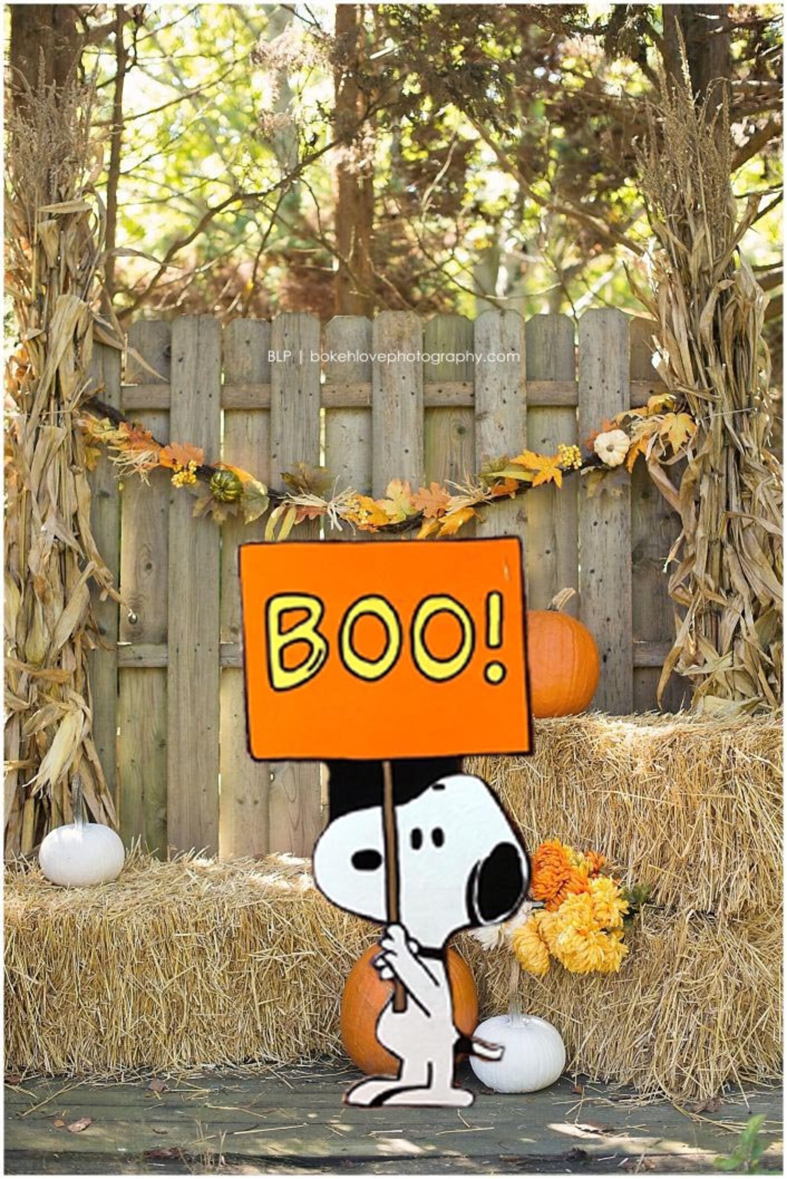 Snoopy Halloween yard art/Peanuts yard art/ Peanuts yard Etsy